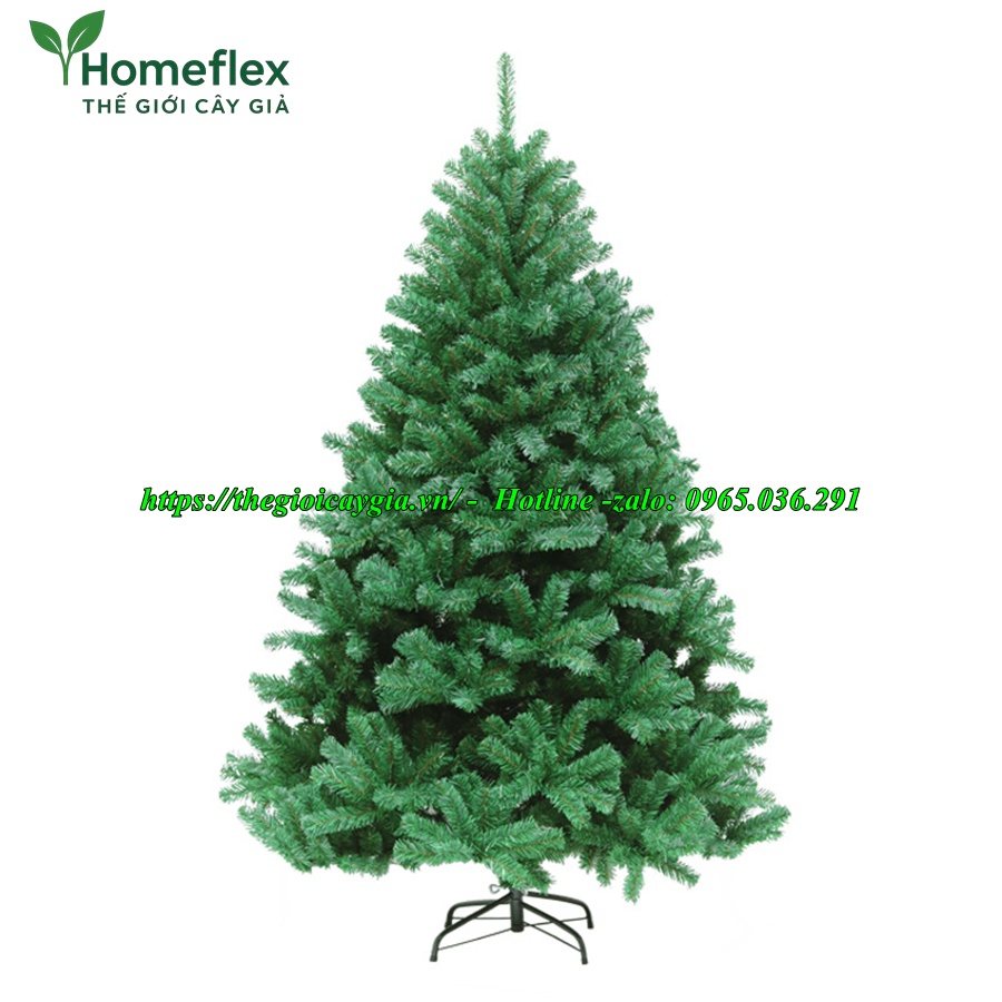 Cây thông noel màu xanh