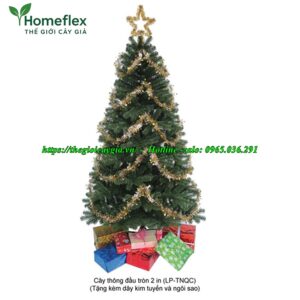 Cây thông noel màu xanh