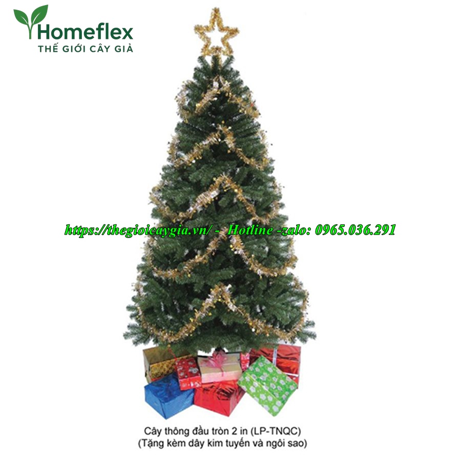 Cây thông noel màu xanh