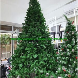 Cây thông noel màu xanh