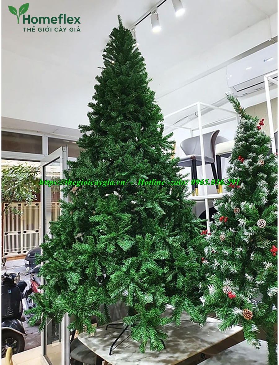 Cây thông noel màu xanh