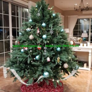 Cây thông noel màu xanh