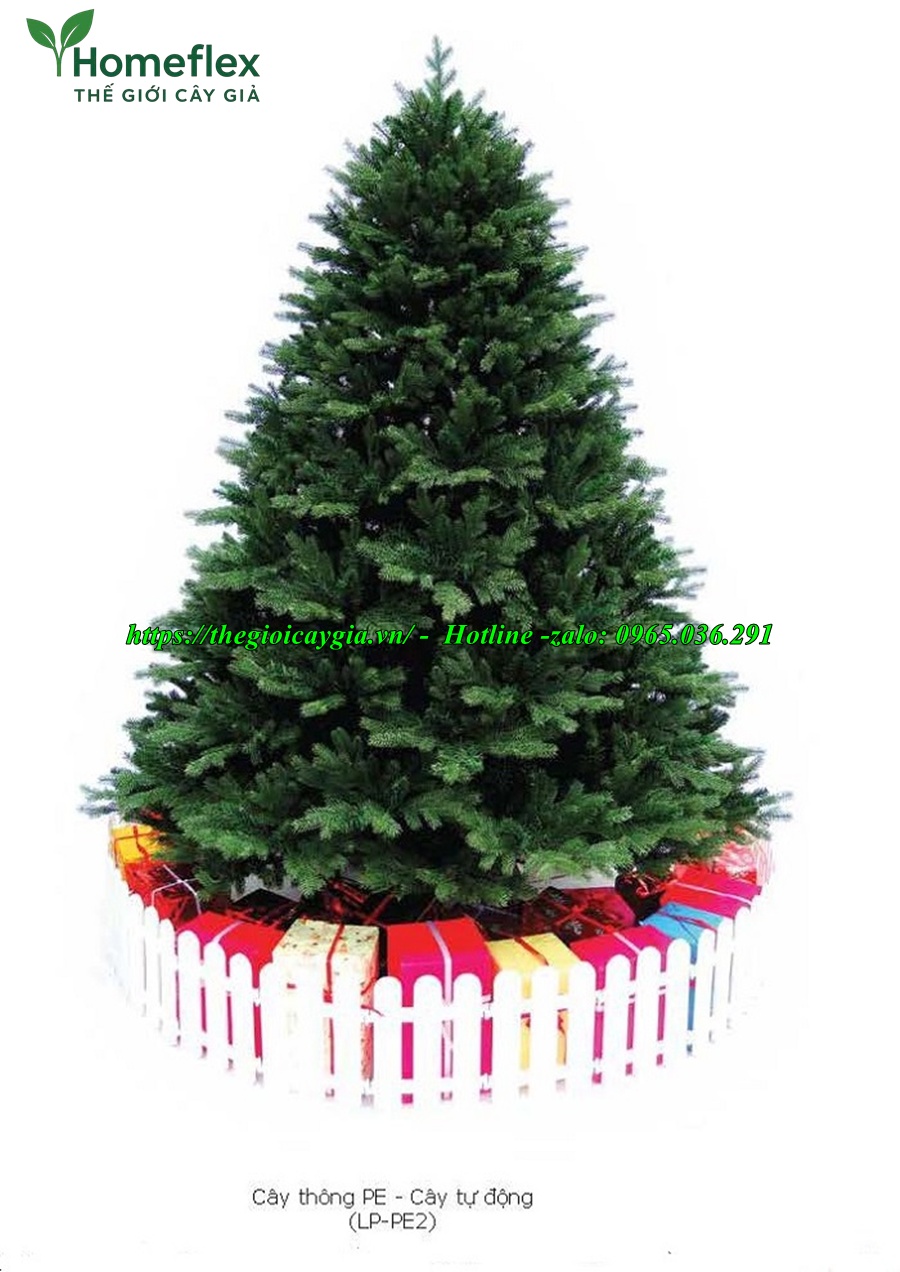 Cây thông noel màu xanh