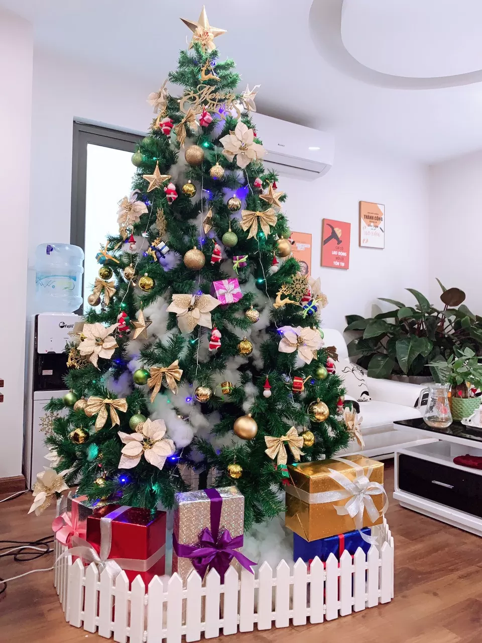Cây thông noel màu xanh