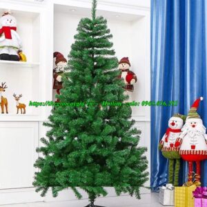 Cây thông noel màu xanh