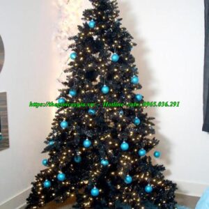 Cây thông noel màu xanh