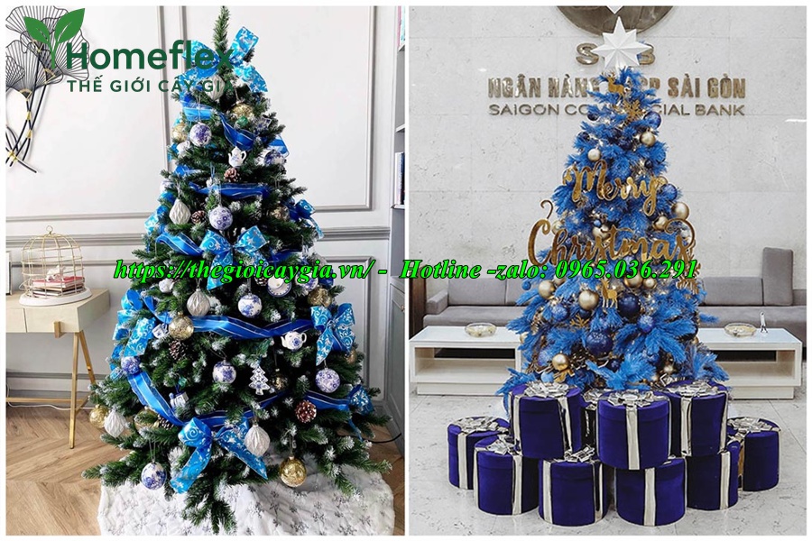 Cây thông noel màu xanh