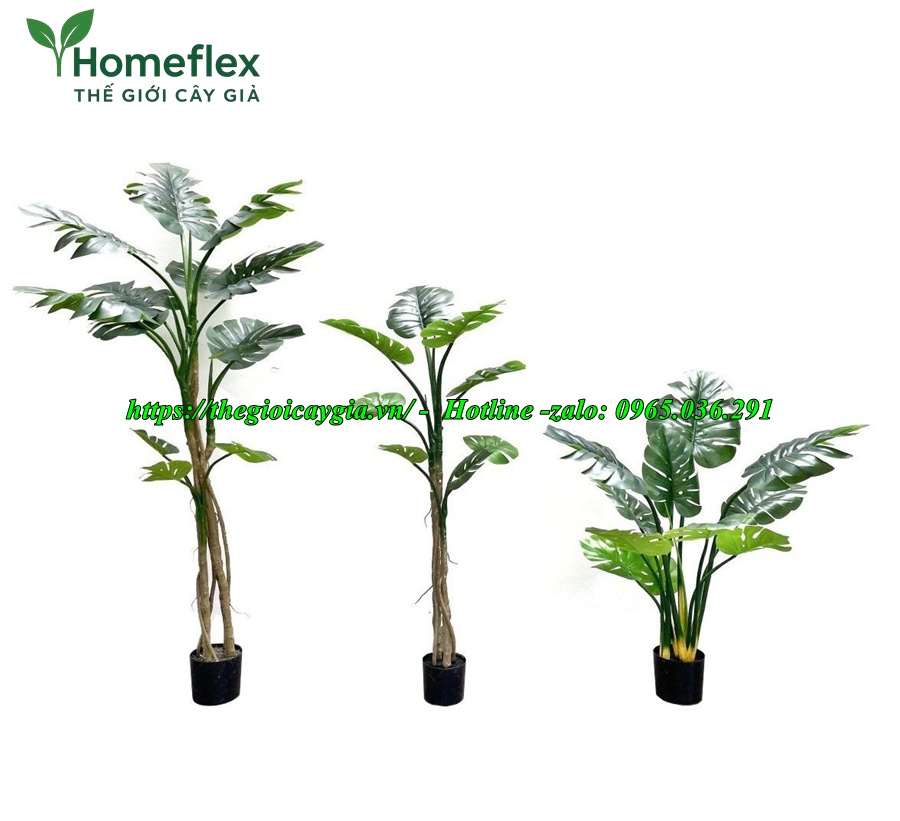 cây trầu bà giả