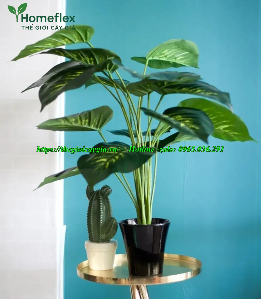 cây trầu bà giả