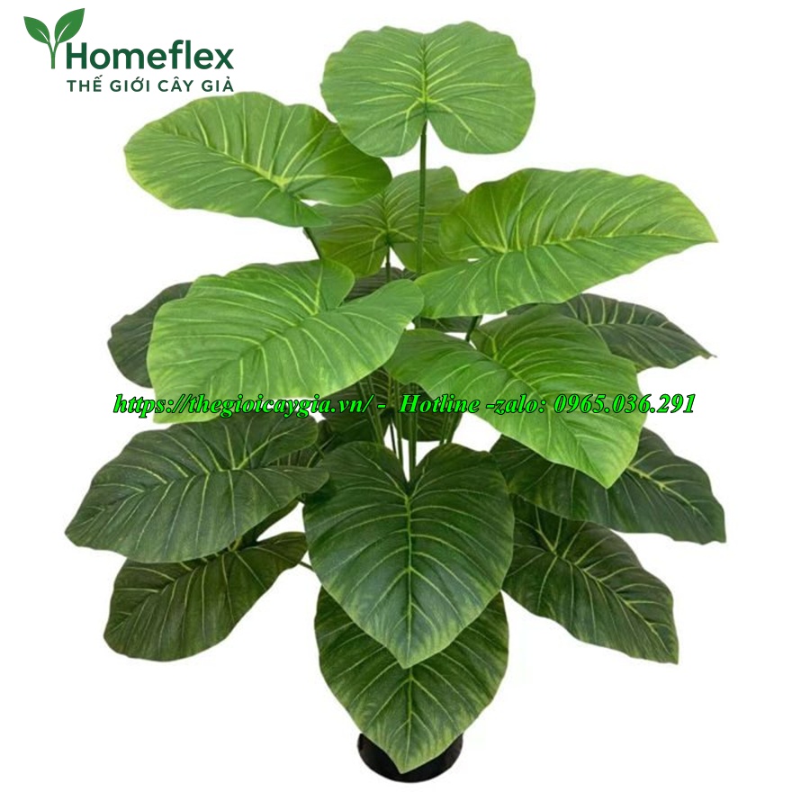 cây trầu bà giả