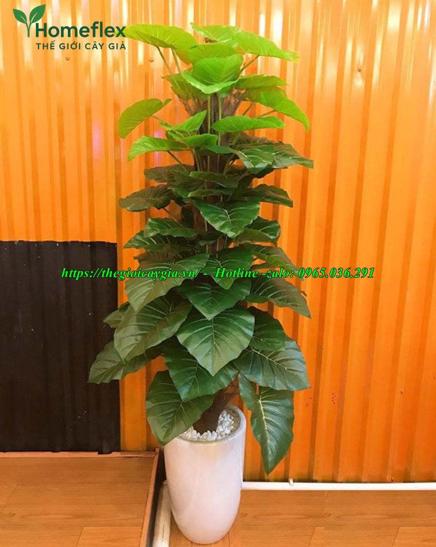 cây trầu bà giả