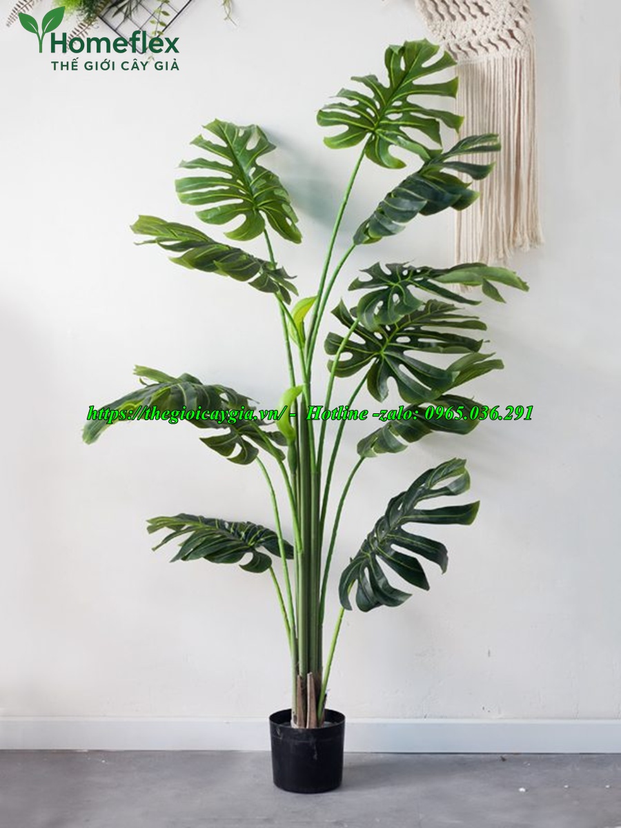 cây trầu bà giả