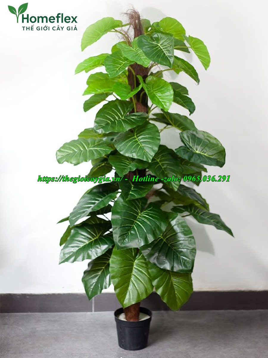 cây trầu bà giả