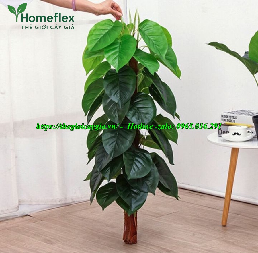 cây trầu bà giả