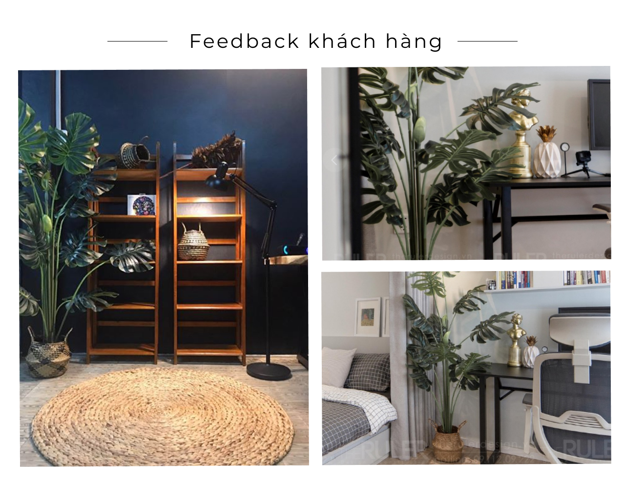 cay trau ba la xe gia feedback - Cây Trầu Bà lá xẻ giả, cây monstera giả - 160cm