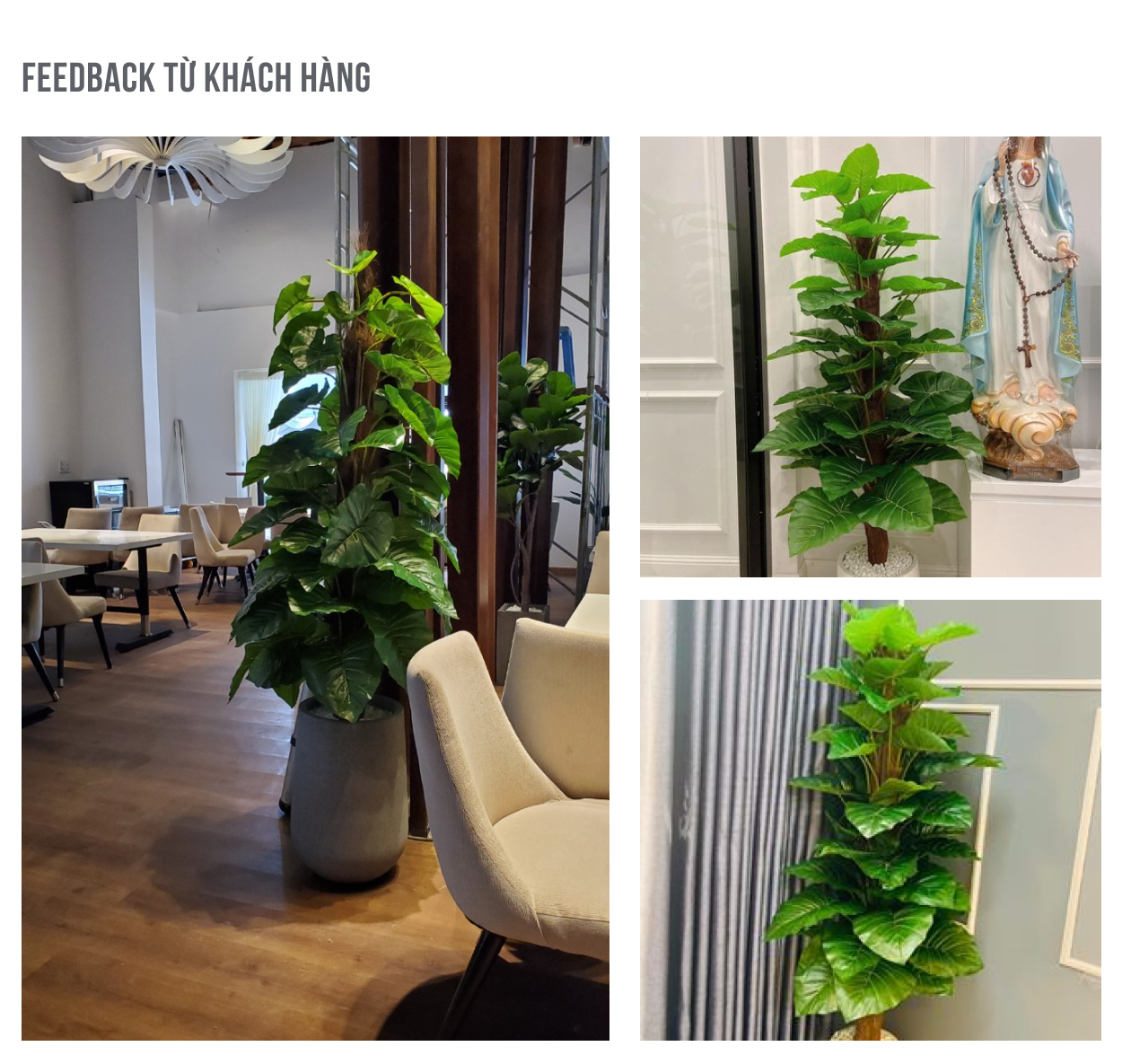 cay trau ba leo cot gia - Cây trầu bà leo cột giả 160 cm