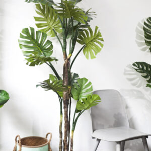 Cây monstera thân gỗ giả 180 cm