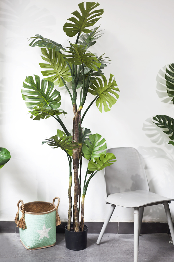 Cây monstera thân gỗ giả 180 cm