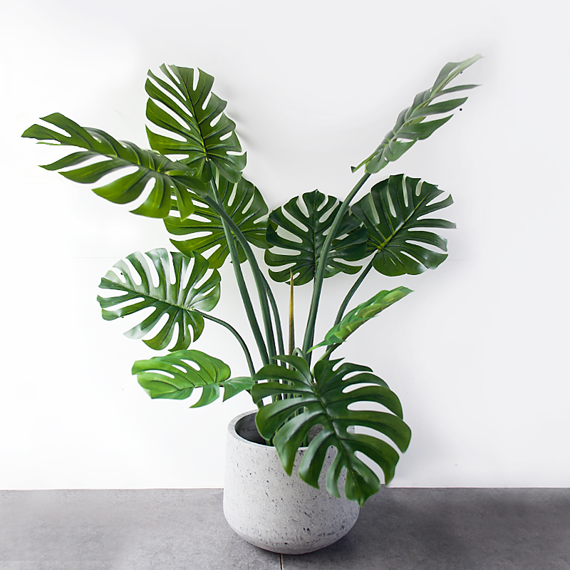 CC143 6 1 - Cây Monstera Trầu Bà Lá Xẻ Thân Mềm Giả CC143 6 1 - Cây Monstera Trầu Bà Lá Xẻ Thân Mềm Giả