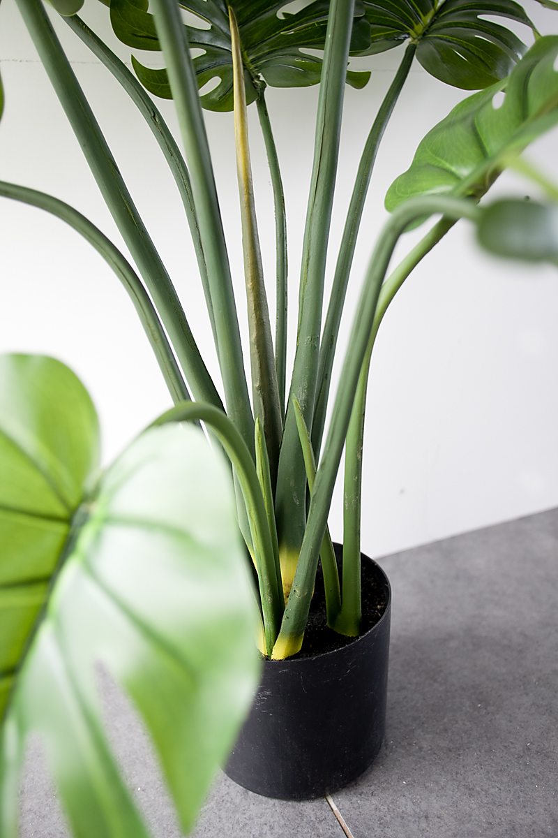 CC143 8 1 - Cây Monstera Trầu Bà Lá Xẻ Thân Mềm Giả CC143 8 1 - Cây Monstera Trầu Bà Lá Xẻ Thân Mềm Giả
