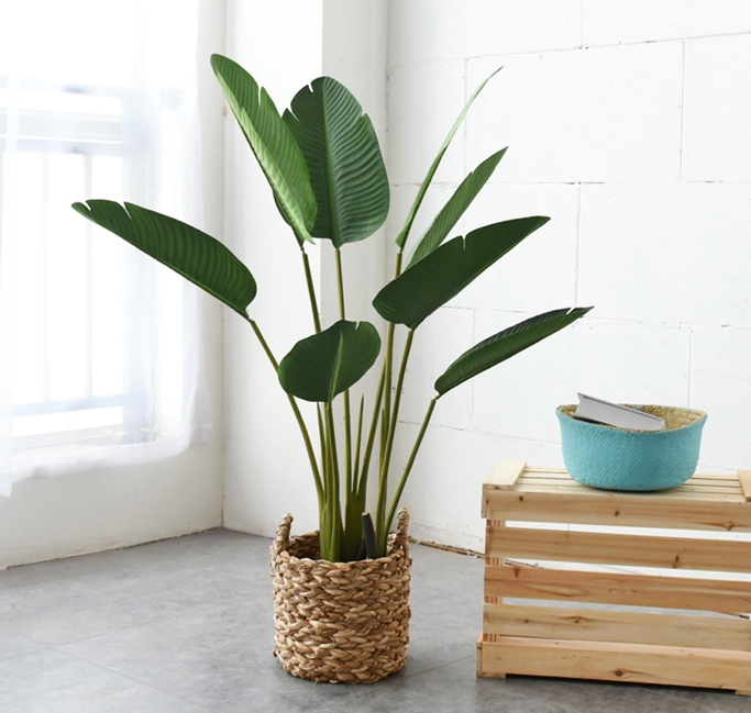 CC15 - Cây Chuối Giả 120cm CC15 - Cây Chuối Giả 120cm
