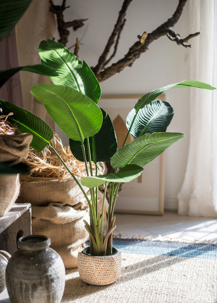 CC16 11 - Cây Chuối Giả 120cm CC16 11 - Cây Chuối Giả 120cm