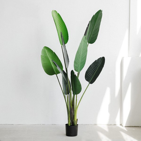 Cây chuối giả 160cm