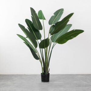Cây Chuối Giả 205cm