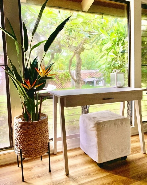 CC207 3 - Cây Chuối Thiên Điểu Giả 120cm