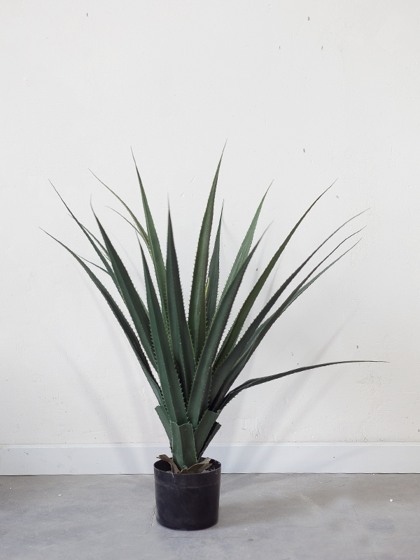CC233 - Cây dứa giả 70cm