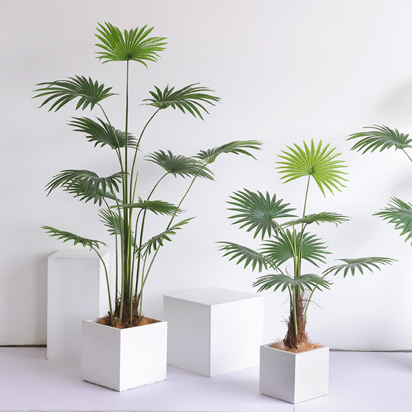 CC286 3 - Cây Cọ Giả 175cm