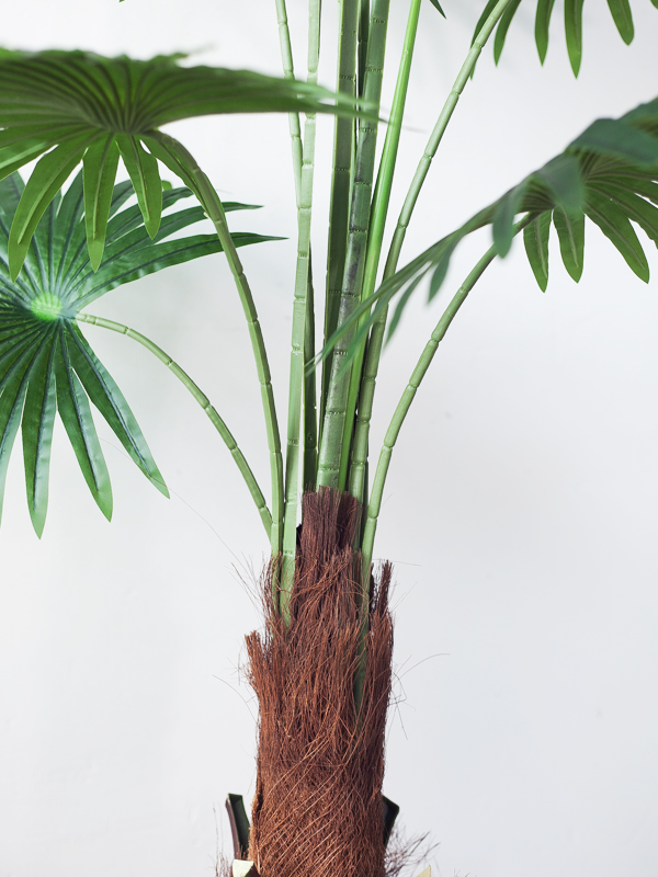 CC286 4 - Cây Cọ Giả 175cm