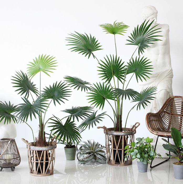 CC287 3 - Cây Cọ Giả 155cm