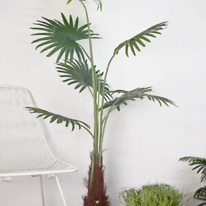 Cây Cọ Giả 155cm