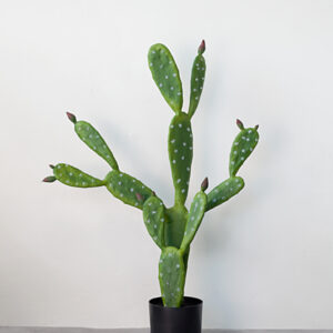 Cây Xương Rồng Tai Thỏ Giả 85cm