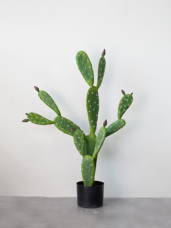 Cây Xương Rồng Tai Thỏ Giả 85cm
