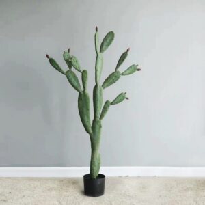 Cây Xương Rồng Tai Thỏ Giả 150cm