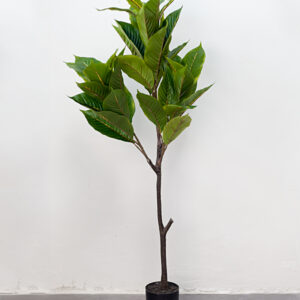 Cây Tỳ Bà Giả