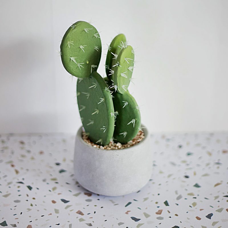 CC339 2 - Cây xương rồng tai thỏ giả để bàn CC339 2 - Cây xương rồng tai thỏ giả để bàn