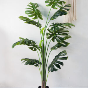Cây Trầu Bà lá xẻ giả, cây monstera giả – 160cm