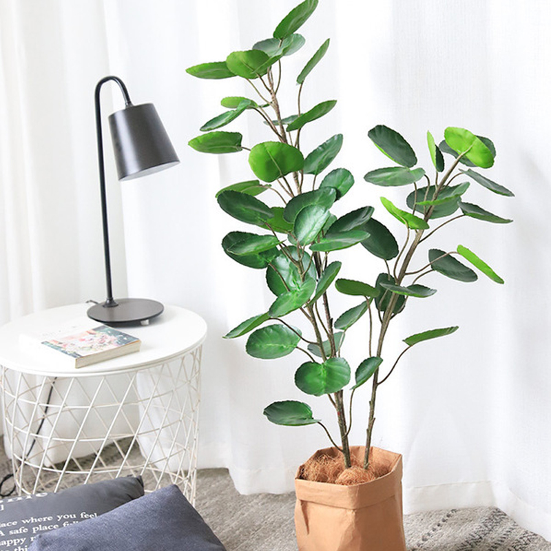 CC346 2 1 - Cây đinh lăng lá tròn giả 95cm CC346 2 1 - Cây đinh lăng lá tròn giả 95cm