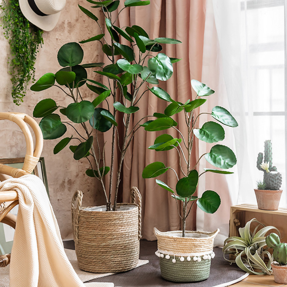 CC346 6 - Cây đinh lăng lá tròn giả 95cm CC346 6 - Cây đinh lăng lá tròn giả 95cm