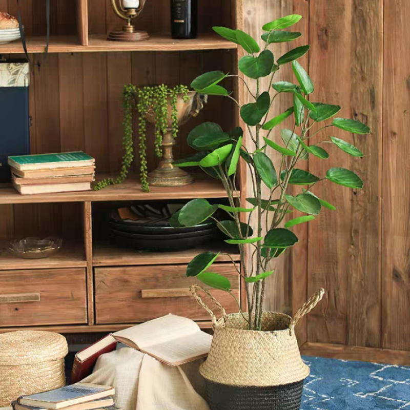 CC346 8 - Cây đinh lăng lá tròn giả 95cm CC346 8 - Cây đinh lăng lá tròn giả 95cm