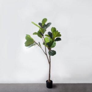 Cây Bàng Singapore Giả – 160cm
