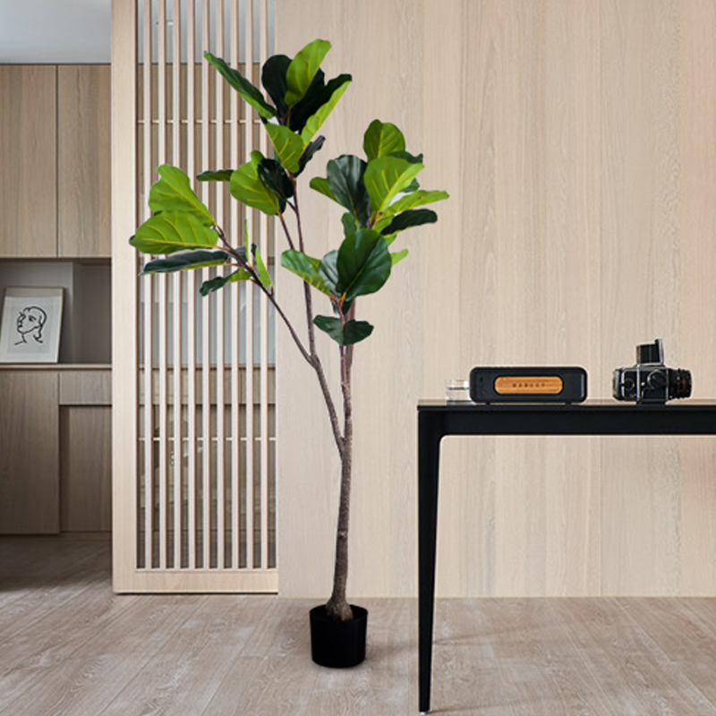 CC352 3 - Cây Bàng Singapore Giả - 160cm