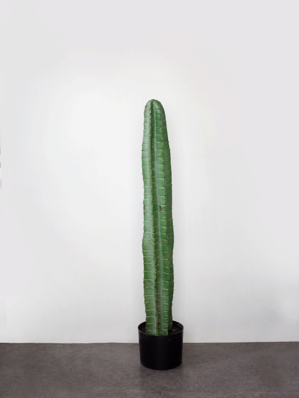 CC373 2 1 - Cây xương rồng giả 100 cm