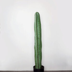 Cây xương rồng giả 100 cm