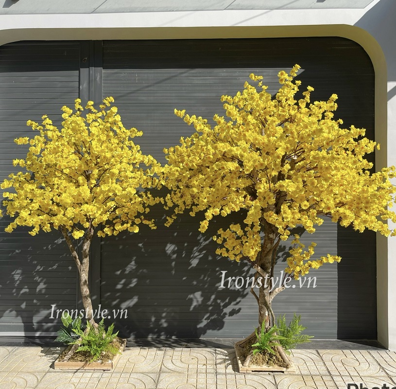 cc3a2y20mai20gie1baa3202 Địa chỉ bán cây mai giả trang trí đẹp giống thật tại TPHCM