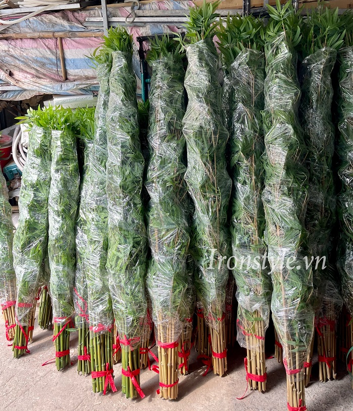 cc3a2y20trc3bac20gie1baa320bc3a1n20le1babb203201 Trúc giả bán lẻ trang trí nội thất