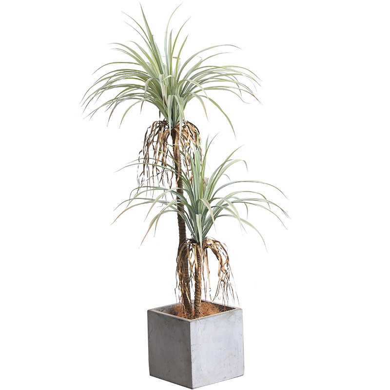 CC402 2 1 - Cây Huyết Rồng giả trang trí nội thất